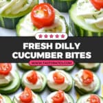 Dilly Cucumber Bites Recipe