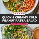 Cold Sesame Peanut Pasta Salad Recipe