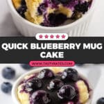 Blueberry Mug Cake Recipe