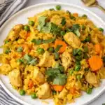 Instant Pot Chicken and Rice Recipe