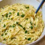 Creamy Garlic One Pan Orzo Recipe