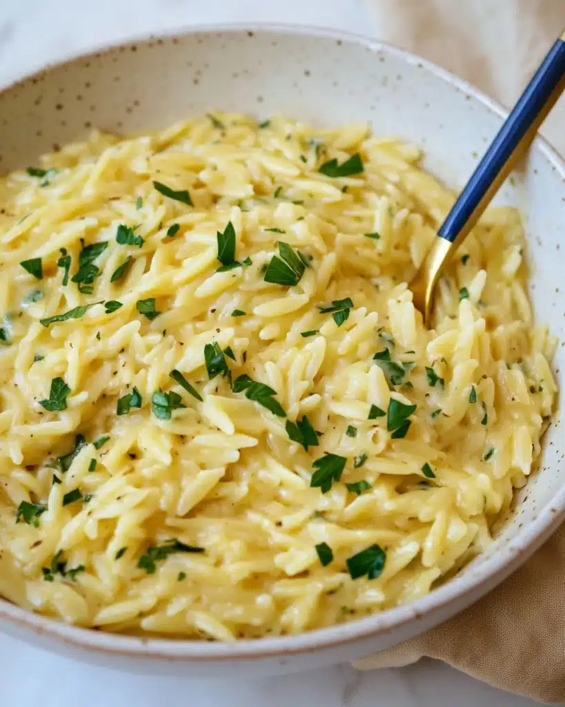 Creamy Garlic One Pan Orzo Recipe