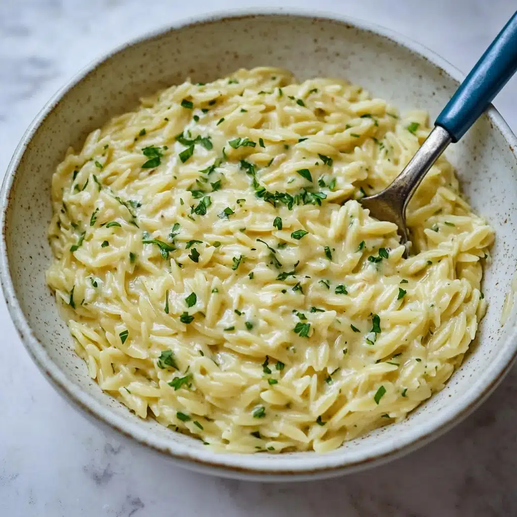 Creamy Garlic One Pan Orzo Recipe - Recipe Image