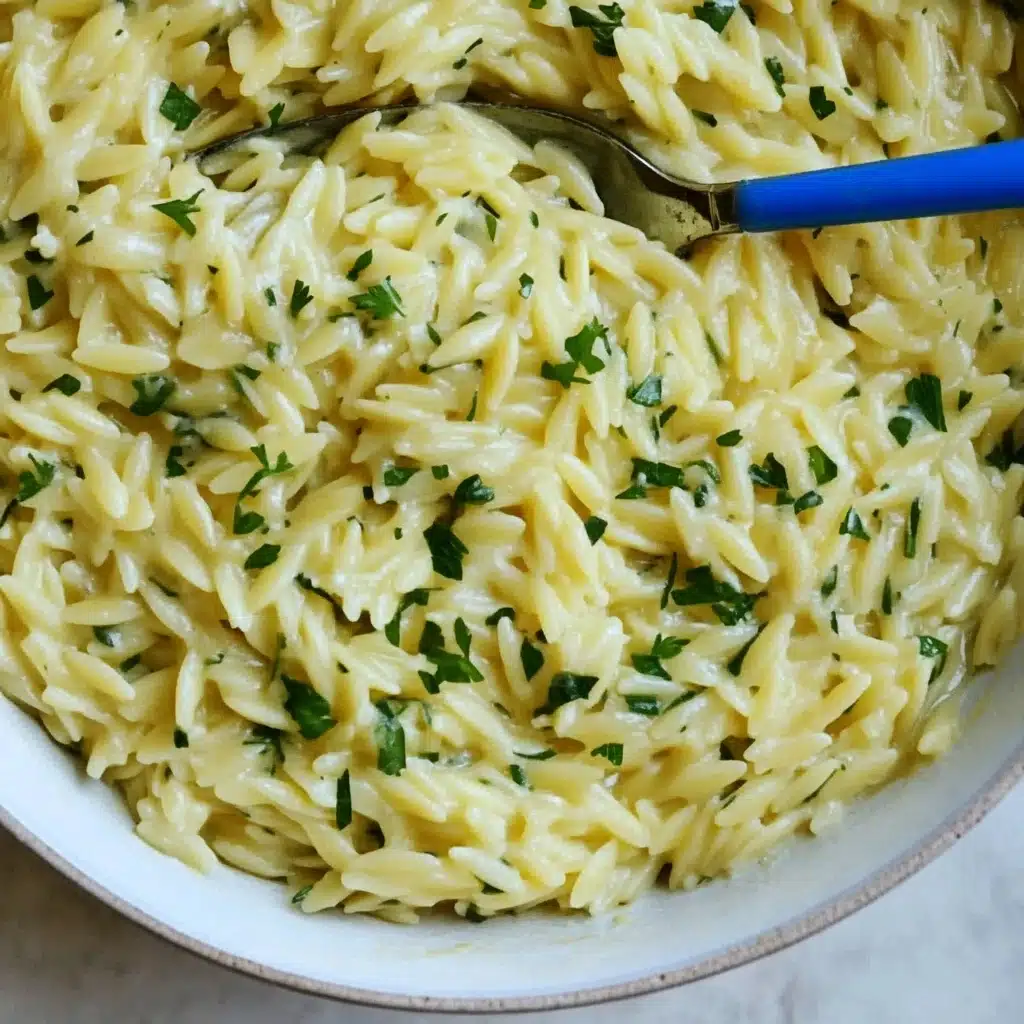 Creamy Garlic One Pan Orzo Recipe - Recipe Image