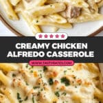 Chicken Alfredo Casserole Recipe