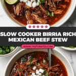 Slow Cooker Beef Birria Recipe