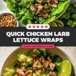 Chicken Larb (Larb Gai) Recipe
