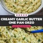 Creamy Garlic One Pan Orzo Recipe
