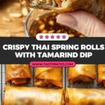 Thai Spring Rolls Recipe