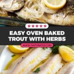 Easy Oven Baked Trout Recipe