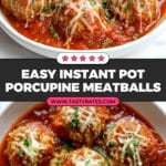Instant Pot Porcupine Meatballs Recipe