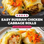 Easy Russian Chicken and Cabbage Rolls with Fresh Veggies (Golubtsi) Recipe