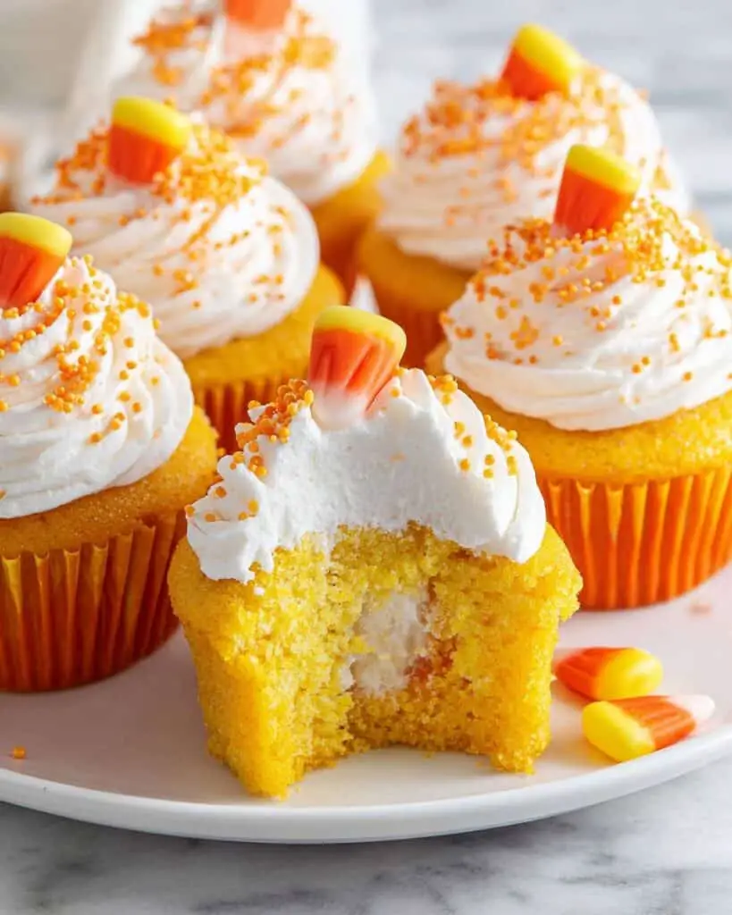 Chocolate Halloween Cupcakes Recipe